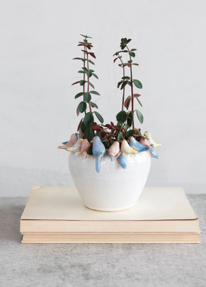 Bird Rimmed Planter