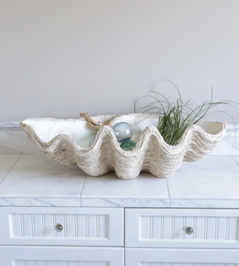 Magnesia Seashell Decor